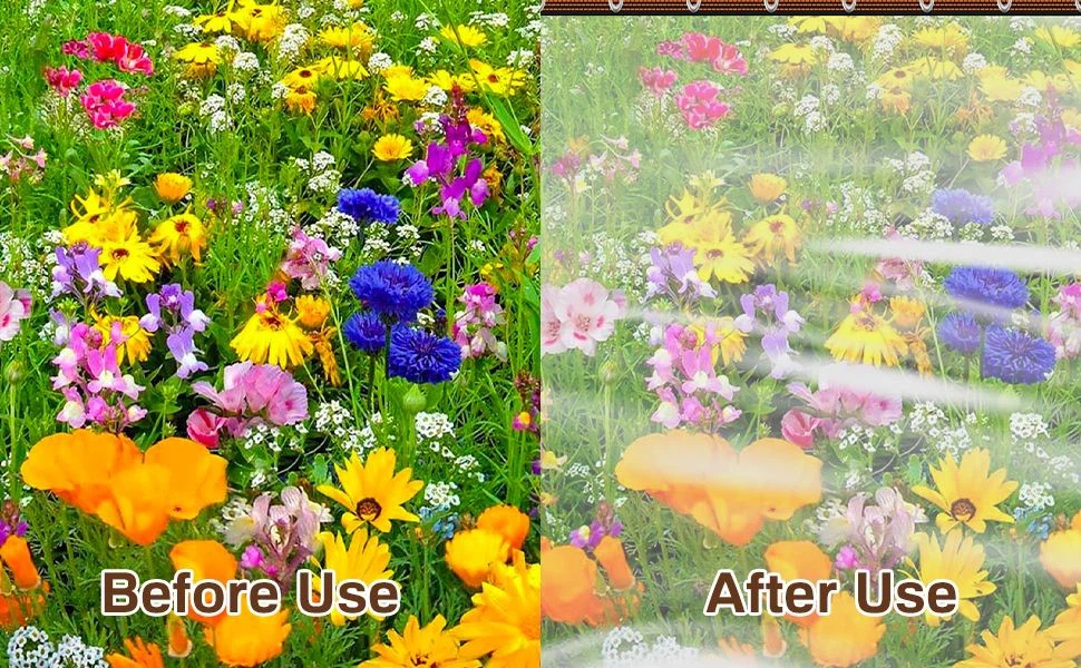 product-970-600 product-970-600