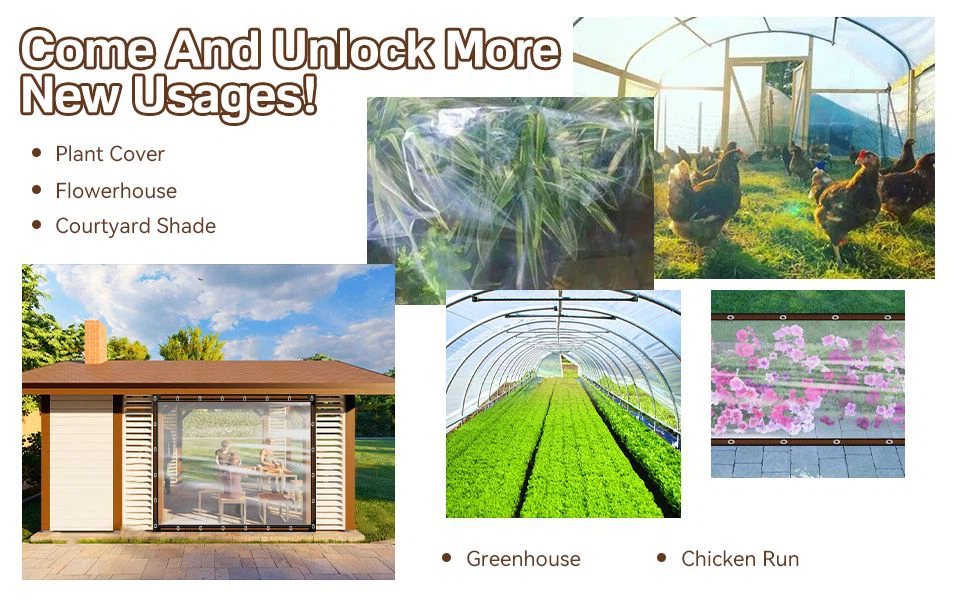 product-970-600 product-970-600