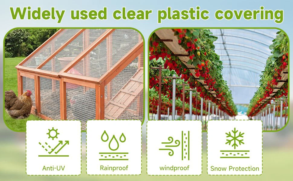 product-970-600 product-970-600